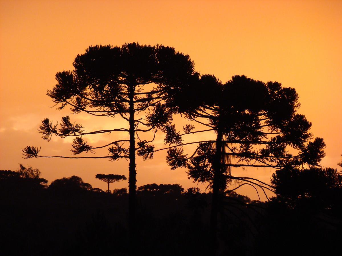 Hotel Pousada Das Araucarias Rio Negrinho Esterno foto